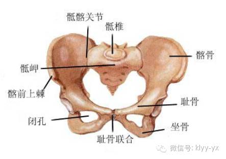 备孕痛经能吃止痛药吗,备孕痛经备孕的路上很心酸
