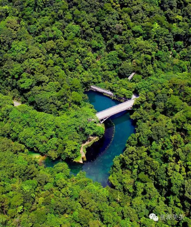 肇庆鼎湖山林,肇庆鼎湖山全景图