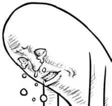 买了那么久你真的了解你身边的那些代购了吗？