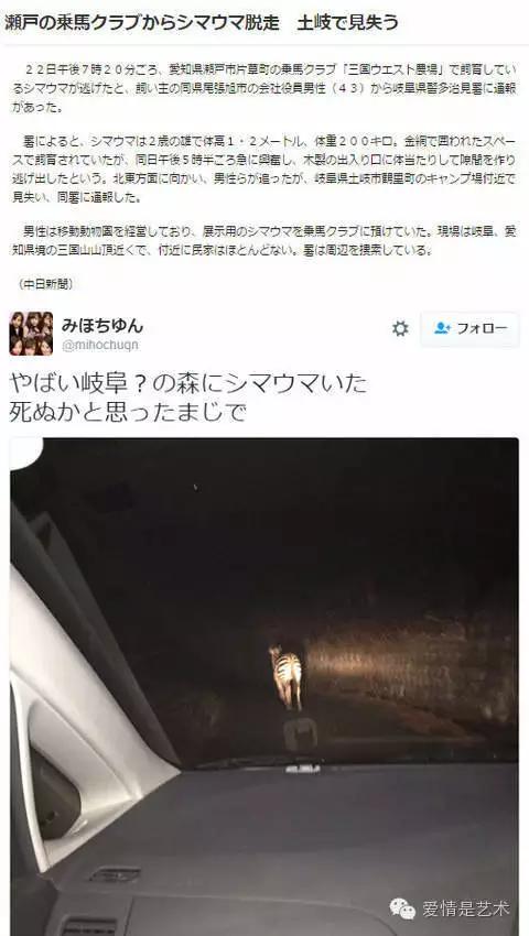 互联网上千奇百怪的图片,网络古怪图片