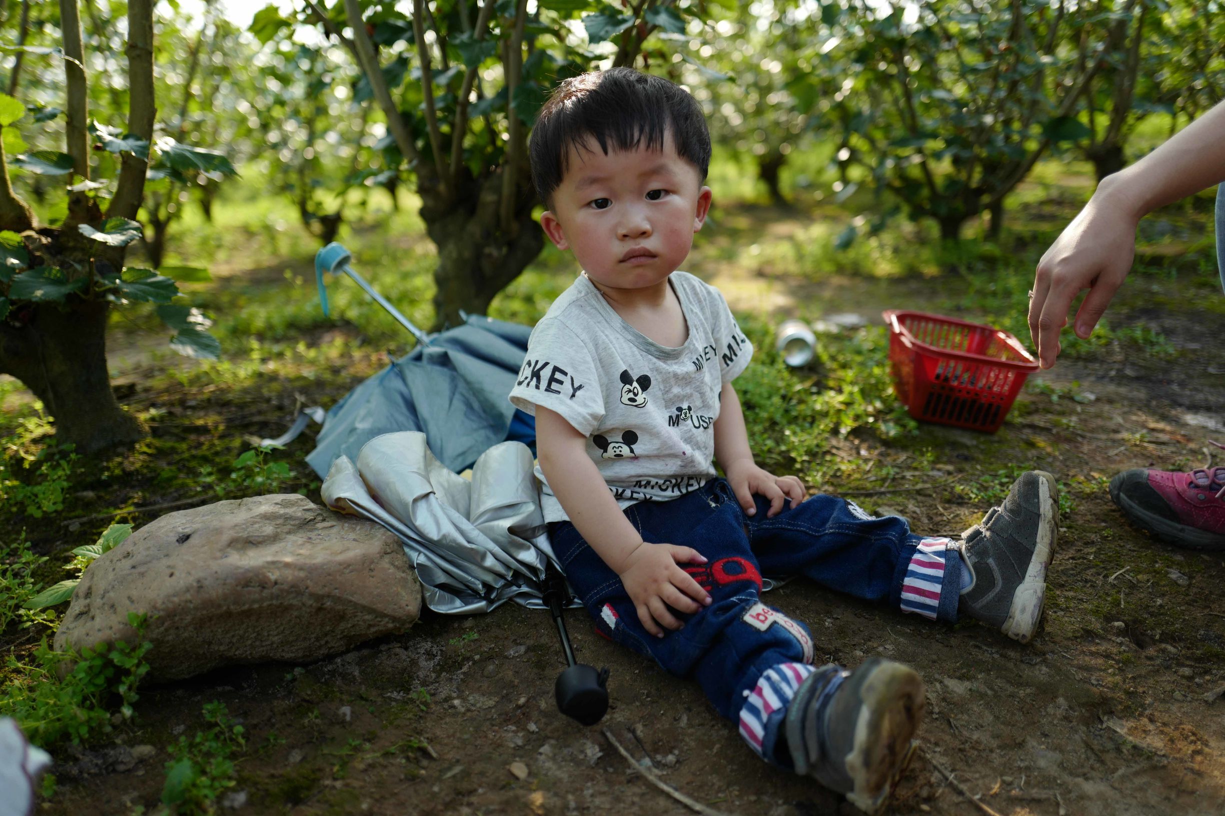 这才是德味-LeicaQ一个月使用报告
