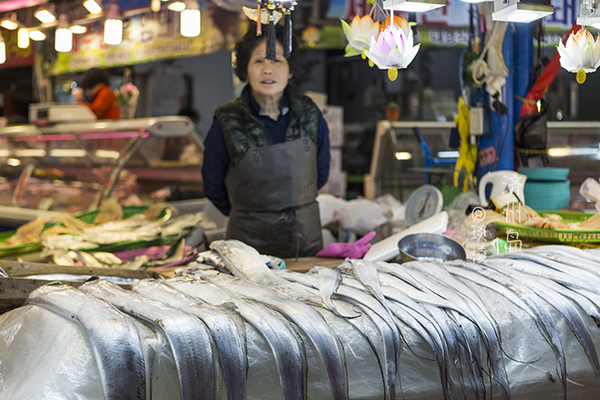 韩国济州岛最好吃的糕点美食,济州岛马肉