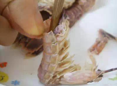 40一斤的虾蛄，一出锅全变绿了！专家建议不要吃！