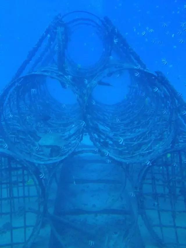 夏威夷和周冬雨,余文乐周冬雨夏威夷