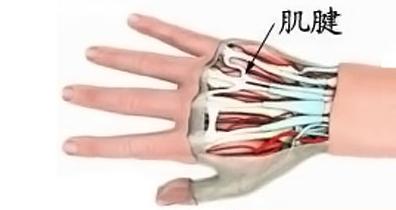 NB电竞队员遭遇滴滴砍人，挑断的手筋还能恢复吗？