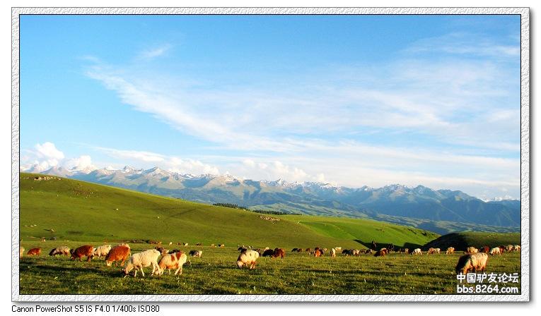 梦里花开——*疆新**，又一次的心动