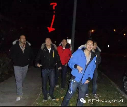 AllaboutCanadaGoose关于加拿大鹅的