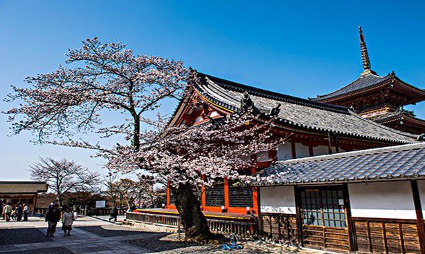 想靠拒付、退款、欺诈订单来致富？岛国人民然并卵