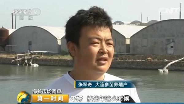 海参多少钱一斤比较合理呢,海参多少钱一斤算正常价格