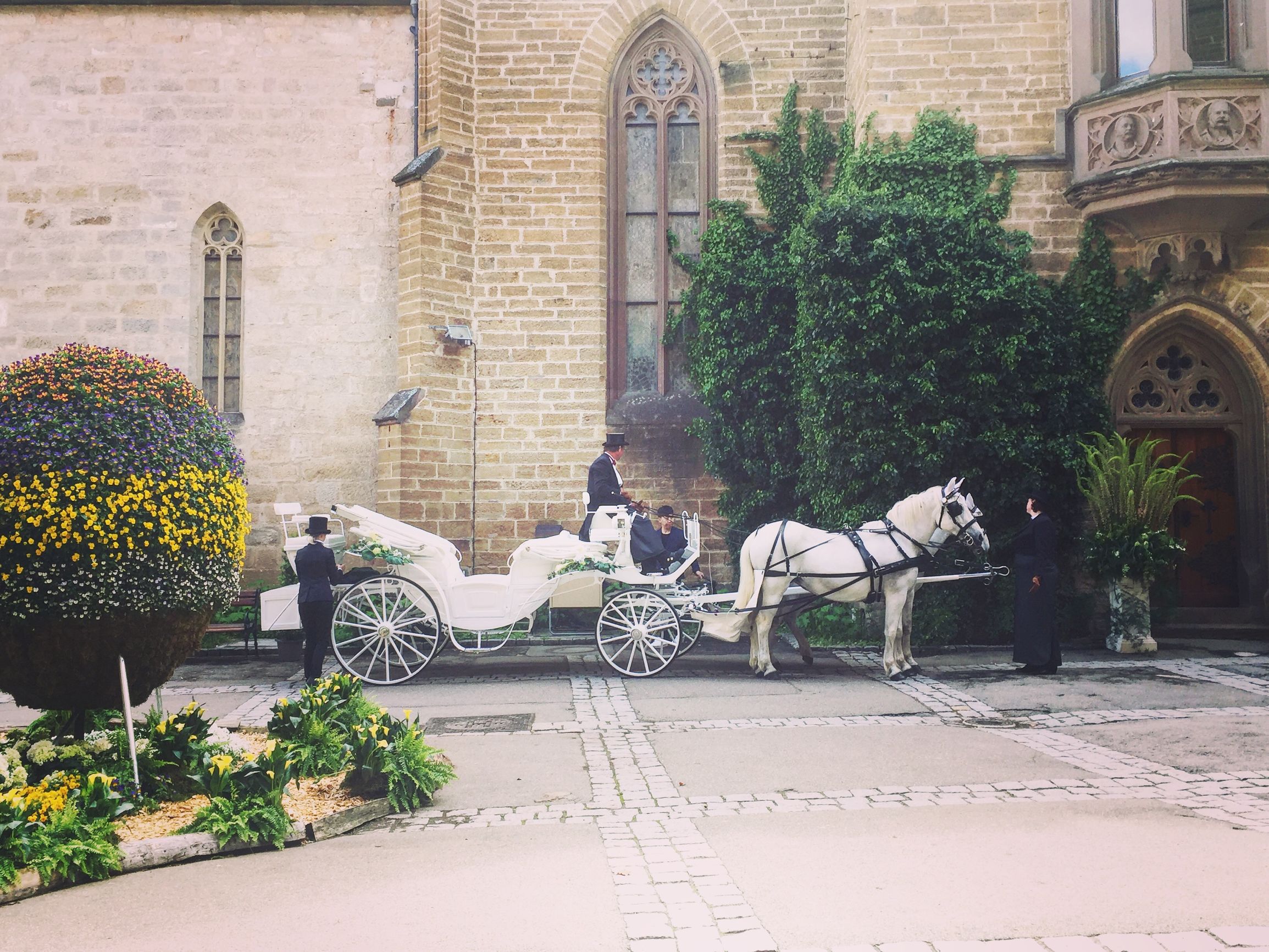 袁弘张歆艺婚姻启示,袁弘张歆艺相互鼓励
