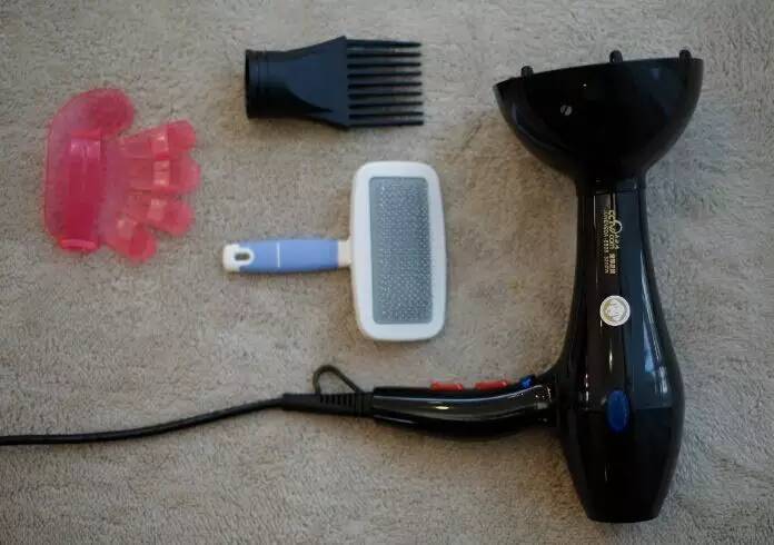 亚龙湾美高梅蜜月,海棠湾红树林和亚龙湾美高梅