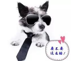 哈西站高铁和普通火车是一个站吗,哈西站是不是动车站