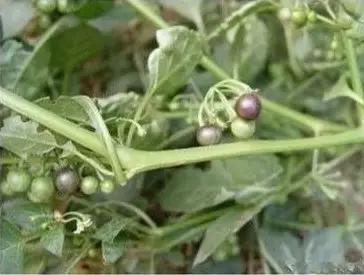 六一8090回忆童年的视频,六一回忆90后的童年