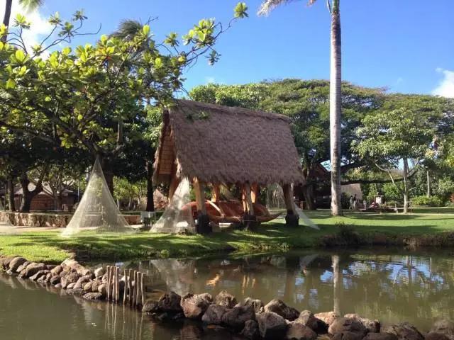 夏威夷和周冬雨,余文乐周冬雨夏威夷