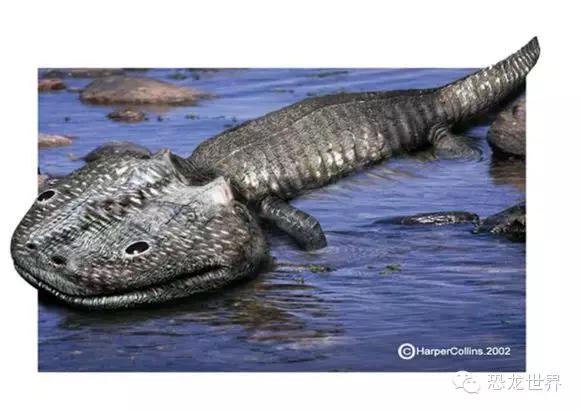 地球生物进化史第1集 (古生物三部曲bbc)