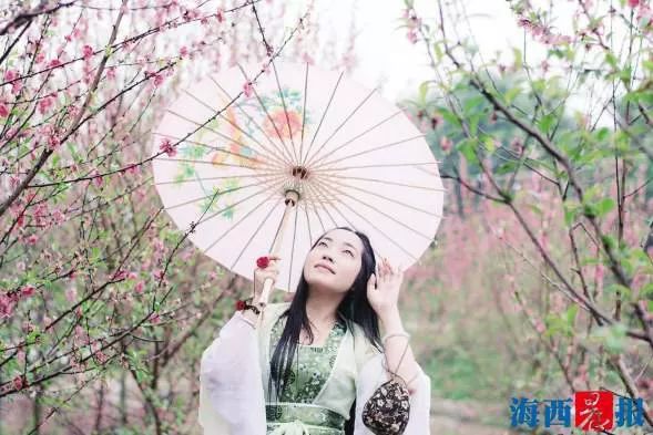 厦门同安千日红三角梅园花海,厦门翔安樱花油菜花