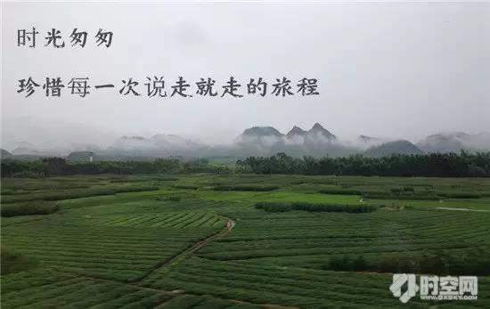 广西梧州觅食记下集,梧州觅食