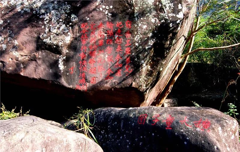 大开眼界和开阔视野,通江最新变化