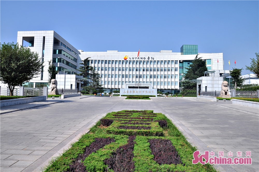 山东鲁阳保温材料有限公司,内蒙古鲁阳节能材料股份有限公司