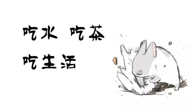 你是不是正宗嵊州人？一句话就能证明！