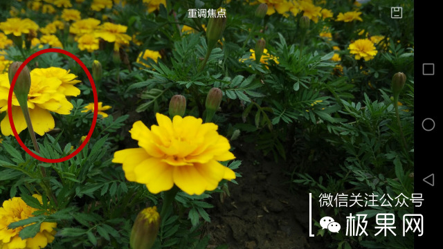 翻转吧摄像头,前后都能照出完美的照片:荣耀7i体验