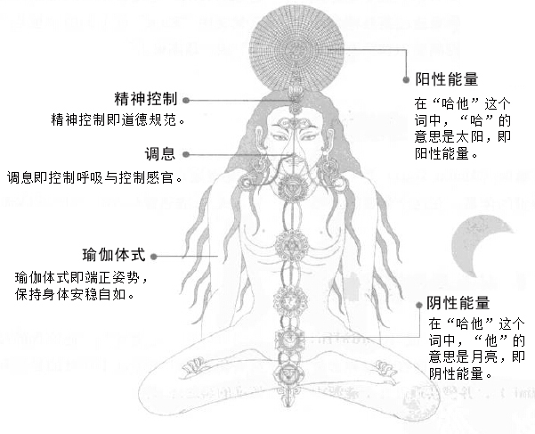 哈他瑜伽和瑜伽的区别,什么是哈他瑜伽