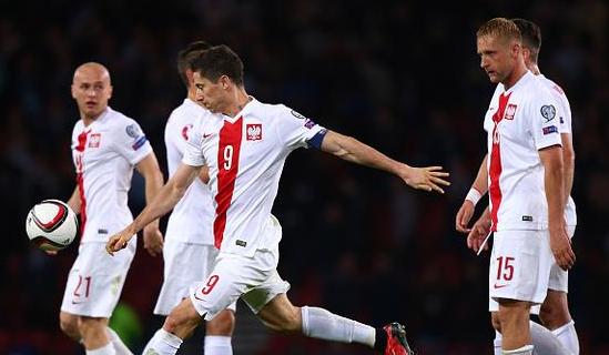 欧洲各型火炮,欧洲火炮