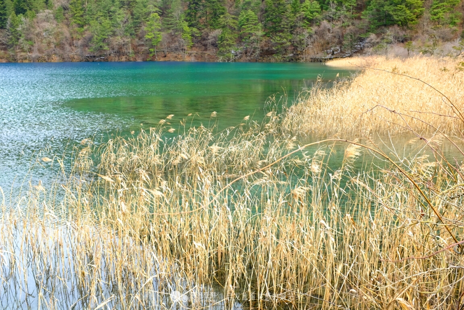九寨沟的四季的特点,九寨沟真的是人间仙境