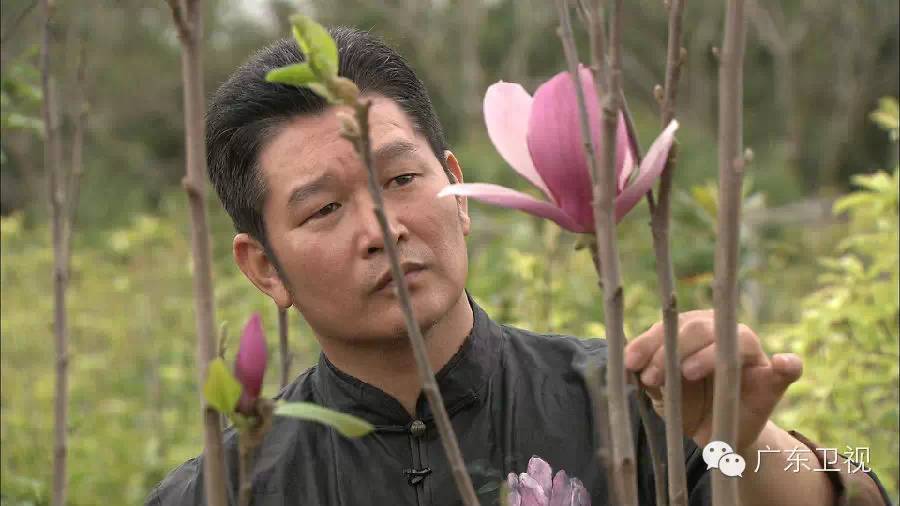 广东卫视出品的纪录片好评不断,再获三个国家级嘉奖!
