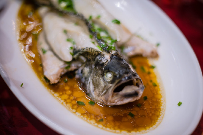 杞诲鏃呰,杞诲鍑鸿