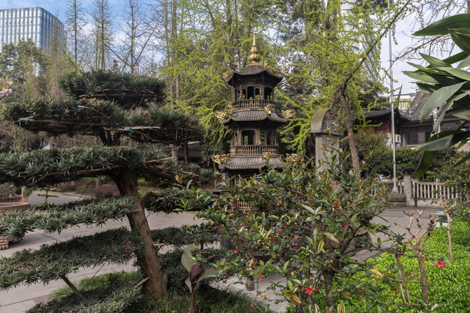 初来乍到1到6,从早到晚怎么逛成都