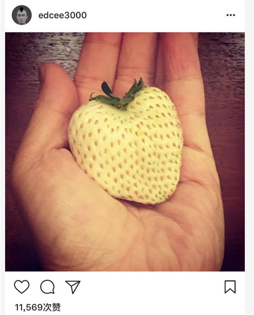 陈冠希晒一盒草莓,陈冠希晒200元一颗的草莓