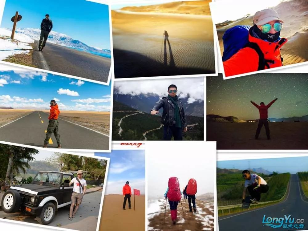 一招教你选龙鱼,龙鱼饲养经验交流