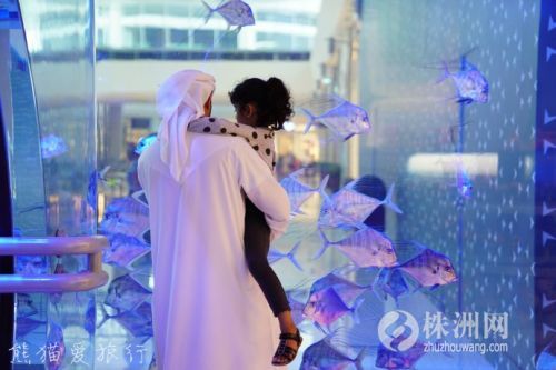 阿联酋迪拜有多奢华,迪拜真实的奢侈生活