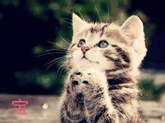 omg吃多了会怎么样,omg一顿能吃多少