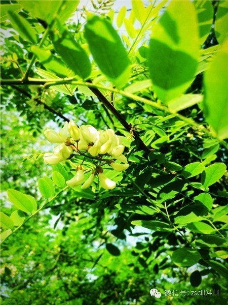 大连小众海边滨海路,大连最美海滨路在哪