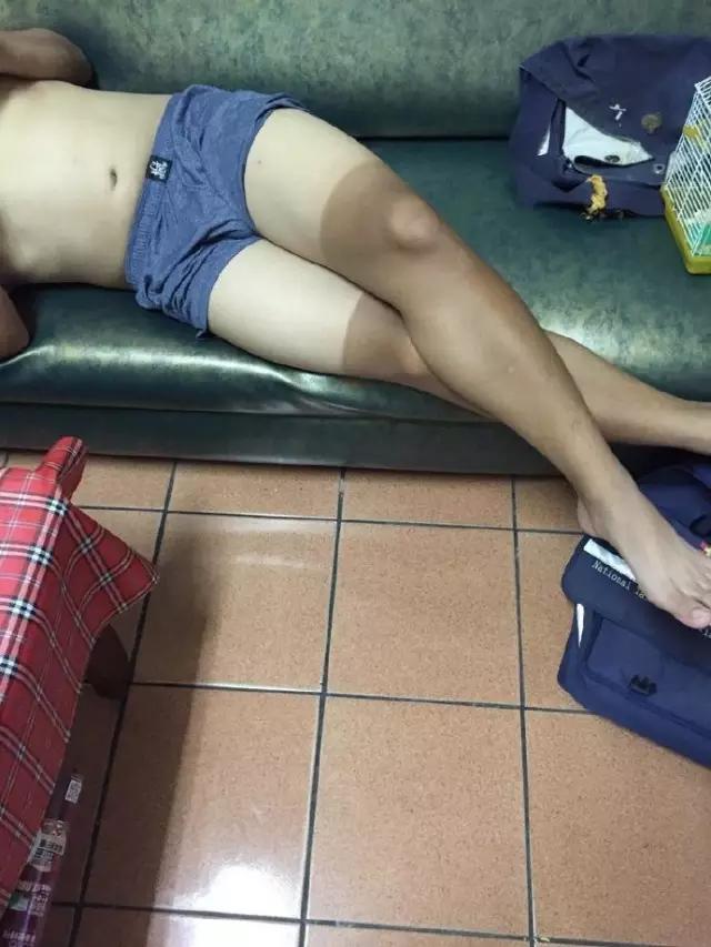 为了吃某龙，我不惜用上了某应龙