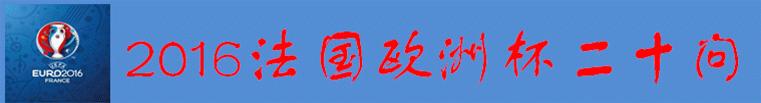 2016法国欧洲杯俄罗斯和英国,2016欧洲杯法国亚军之路