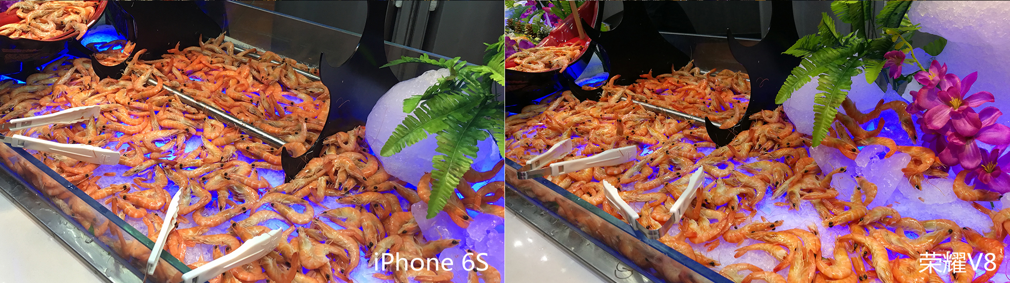 荣耀8和苹果6对比评测,荣耀70和苹果8哪个拍照好