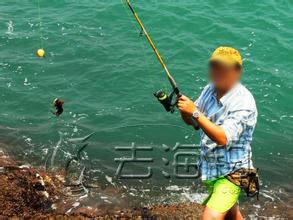 去渔山列岛海钓攻略,渔山列岛海钓民宿