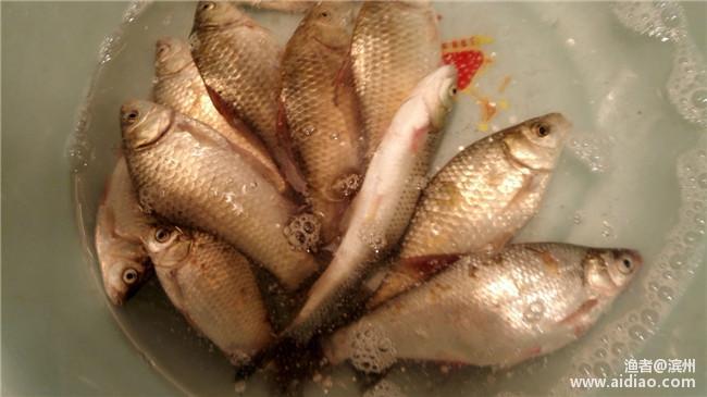 端午小长假休息安排,端午小假期安排