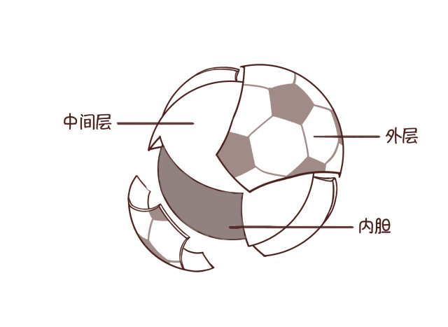 欧洲杯懂球帝怎么看,看欧洲杯的词