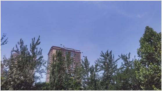 中国移动a1s对比,移动高清语音视频通话20元