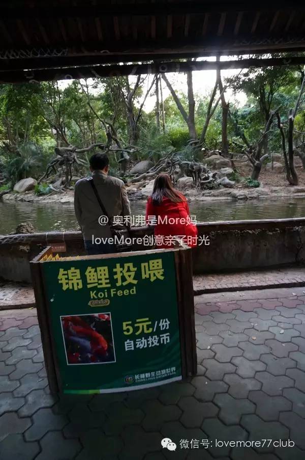 一日游广州长隆野生动物园攻略,广州长隆野生动物园自由行攻略