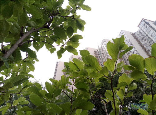 魅蓝3s是最好的一款吗,魅蓝3s全新