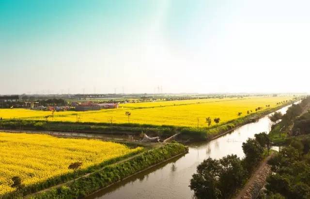 2021上海经济16区排名,上海经济最强的30个镇