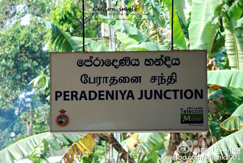 新手小白入门指南买茶小技巧,小白学茶的100个基础