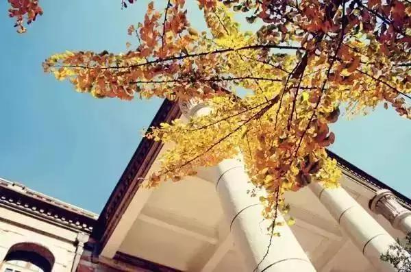 我在云南大学普普通通的一天,云南大学一年四季