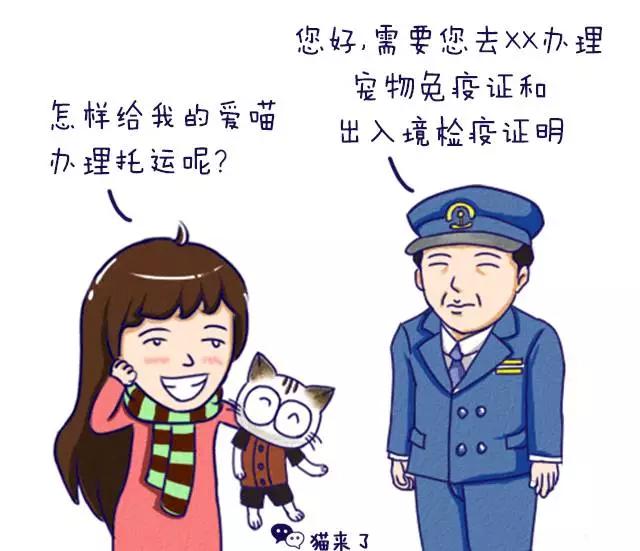 怎么通过客车运送宠物,火车宠物托运怎么办理