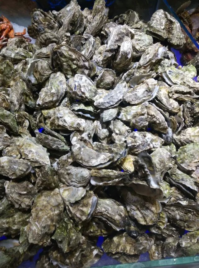 好伦哥海鲜自助长江广场店,好伦哥海鲜自助北京旗舰店